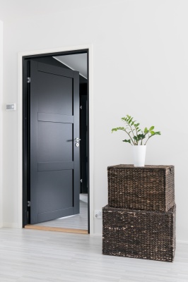 Дверь SWEDOOR by Jeld-Wen Unique 505 фотография