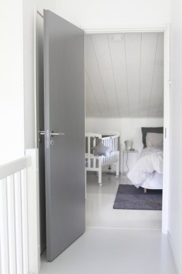 Дверь усиленная окрашенная SWEDOOR by Jeld-Wen Steady 411 фотография