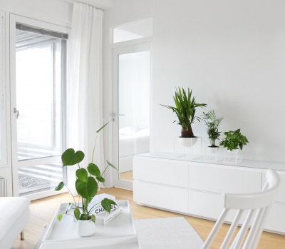Дверь SWEDOOR by Jeld-Wen Unique 504 фотография