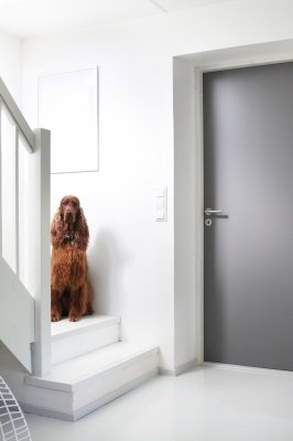 Дверь усиленная окрашенная SWEDOOR by Jeld-Wen Steady 411 фотография