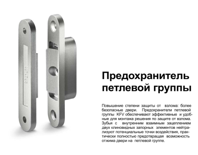 Входная дверь для частного дома WRK-TP-06 M9*21 прав 3020/9016 стекло матовое штанга/нажимная